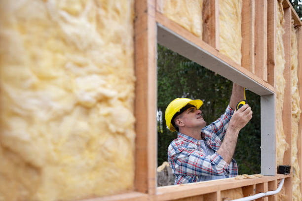 Best Insulation for Existing Homes  in , ND